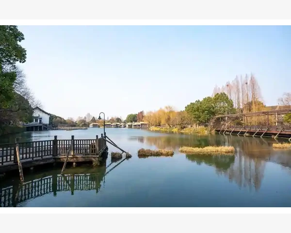 脾胃不和，肾亏如何调理？揭秘中医秘方引领健康新潮流