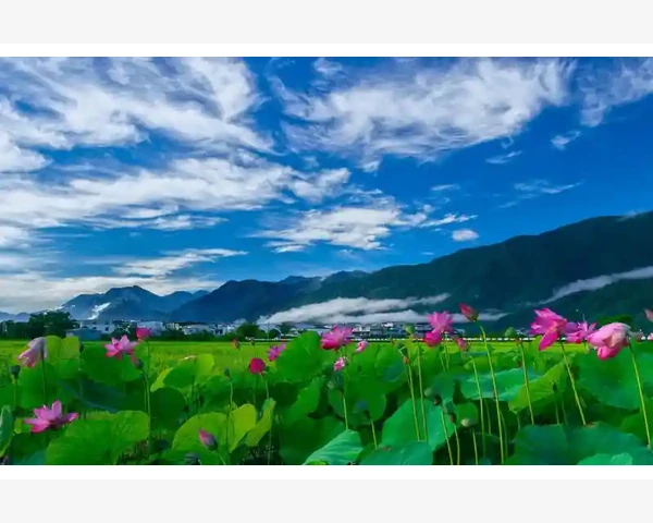 脾胃不和，胃胀常见的幕后推手