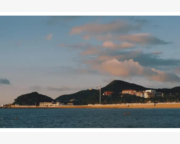 枸杞与金银花：古老疗法，呵护健康